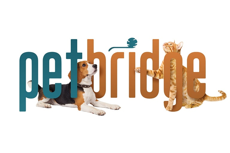 Shelter Software | PetBridge Animal Adoption | Baseline Creative