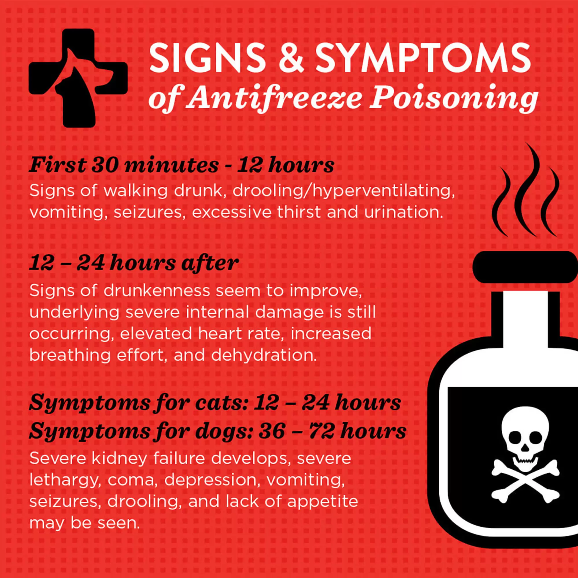 A graphic with signs and symptoms of antifreeze poisoning used on social media for the Emergency Pet Clinic of Temecula